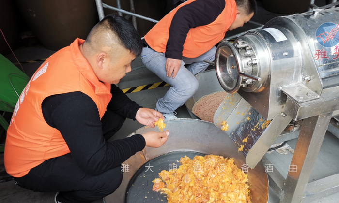 4.7血橙酒釀酒生產(chǎn)工藝-榨汁