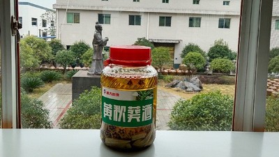 做酒設(shè)備釀造黃秋葵酒，3種不同工藝，哪種工藝釀的更好喝？